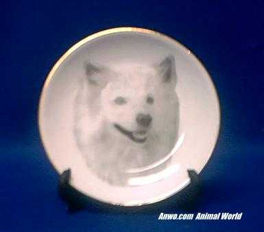 american eskimo spitz plate porcelain