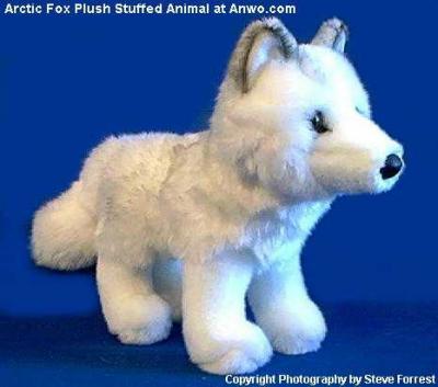 arctic fox cuddly toy