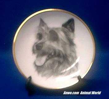 australian terrier plate porcelain
