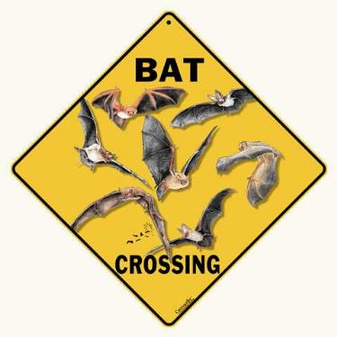 bat crossing sign anwo animal world