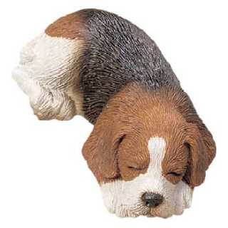 beagle_sand_snzr_1.jpg