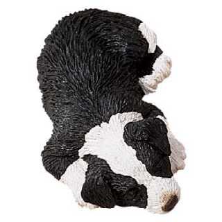 border_collie_sand_snzr.jpg