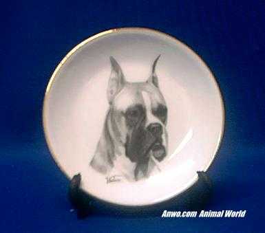 boxer plate porcelain