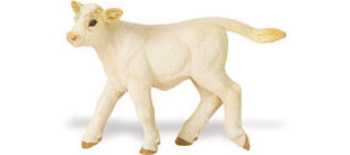 charolais-calf-toy-cow.jpg