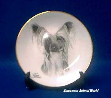 chinese crested plate porcelain