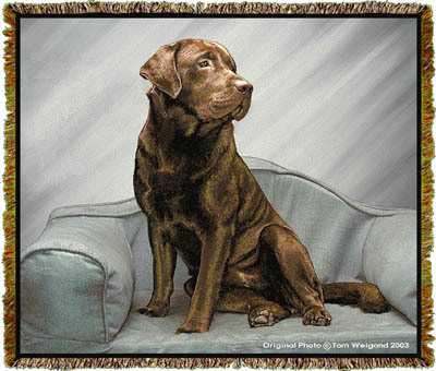 life size chocolate lab stuffed animal