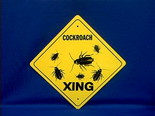 cockroach sign