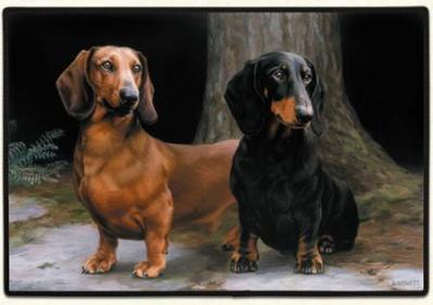 dachshund doormat welcome mat usa