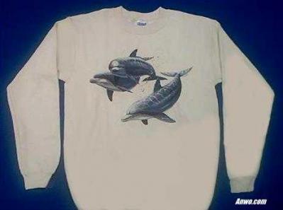 dolphin sweatshirt usa