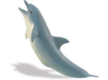 bottlenose dolphin toy safari