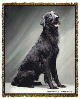 flat coated retriever blanket throw tapestry afghan