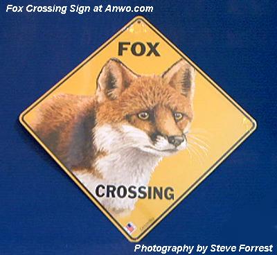 Fox Crossing Sign at Animal World®