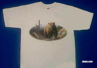 grizzly bear t shirt usa