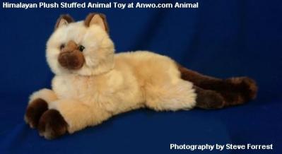 himalayan cat plush stuffed animal toy