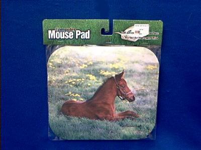 horse mousepad 