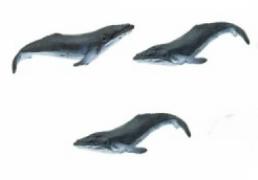 humpback whale toy mini good luck safari