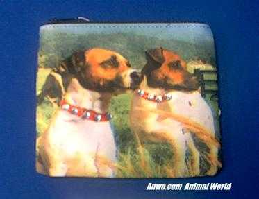 jack russell terrier coin purse