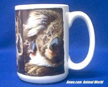 koala-mug-porcelain.JPG
