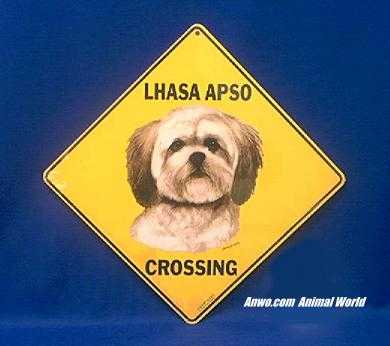 lhasa apso crossing sign color