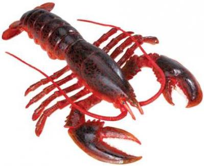lobster toy miniature
