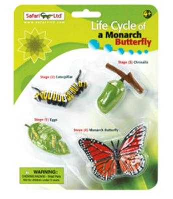 monarch butterfly life cycle toy miniature