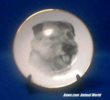 norfolk terrier plate porcelain