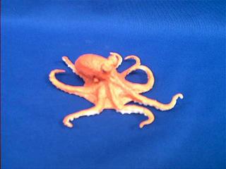 octopus toy