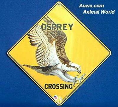 osprey crossing sign 