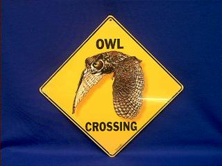 owl crossing sign