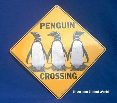 Penguin Crossing Sign at Anwo.com Animal World®