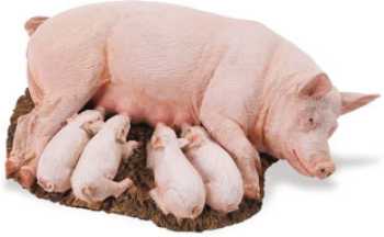 pig toy sow with piglets