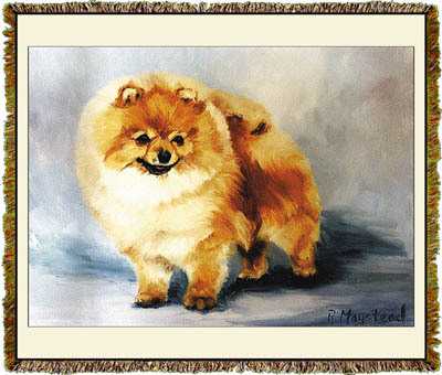 pomeranian blanket throw tapestry USA