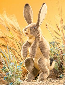 rabbit puppet jackrabbit