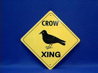 crow crossing sign raven