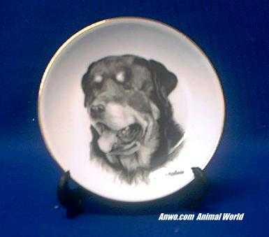 rottweiler plate porcelain
