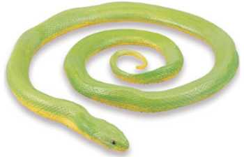 rough green snake toy