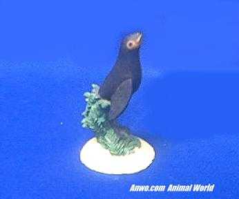 sea lion figurine wyland small