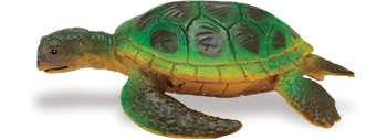 green sea turtle toy