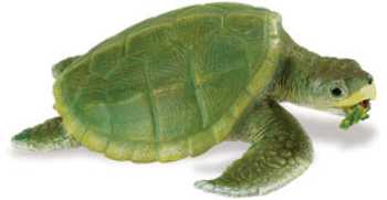kemps ridley sea turtle toy 
