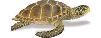 loggerhead sea turtle toy