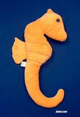 orange seahorse plush stuffed animal toy