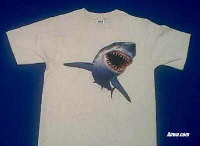 shark t shirt usa