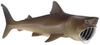 shark toy basking