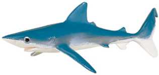 blue shark toy