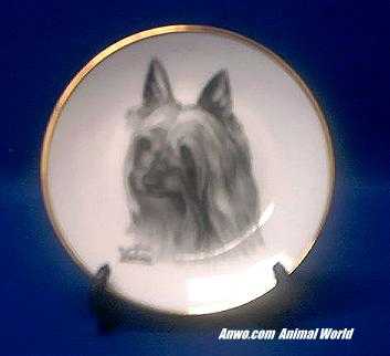 silky terrier plate porcelain