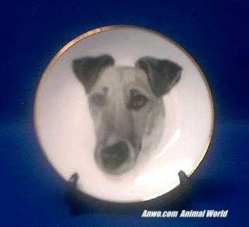 smooth fox terrier plate porcelain