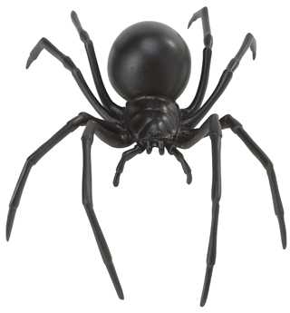 spider toy black widow