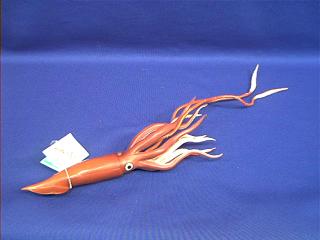 squid toy