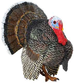 turkey toy