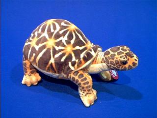 stuffed turtle